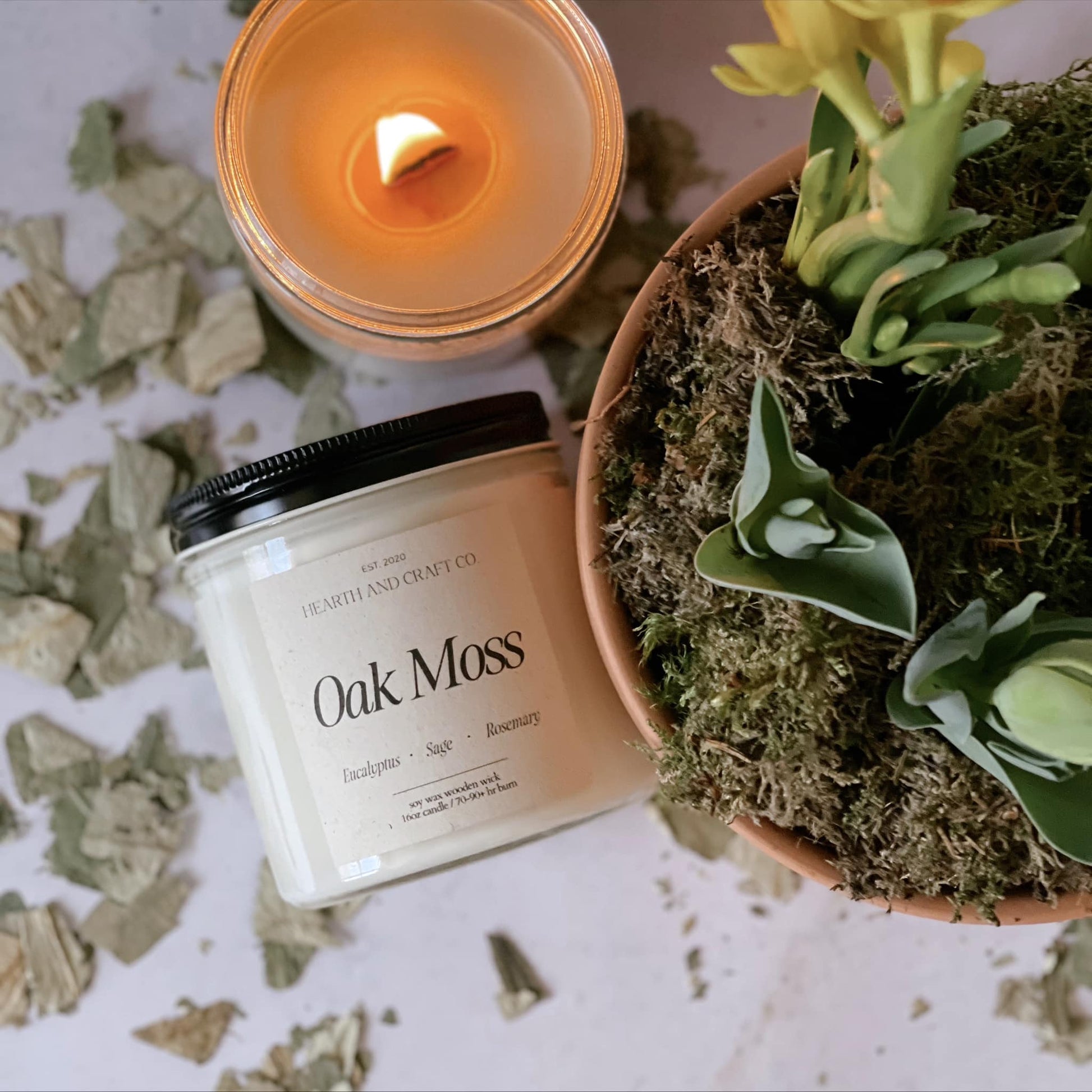 OAK MOSS